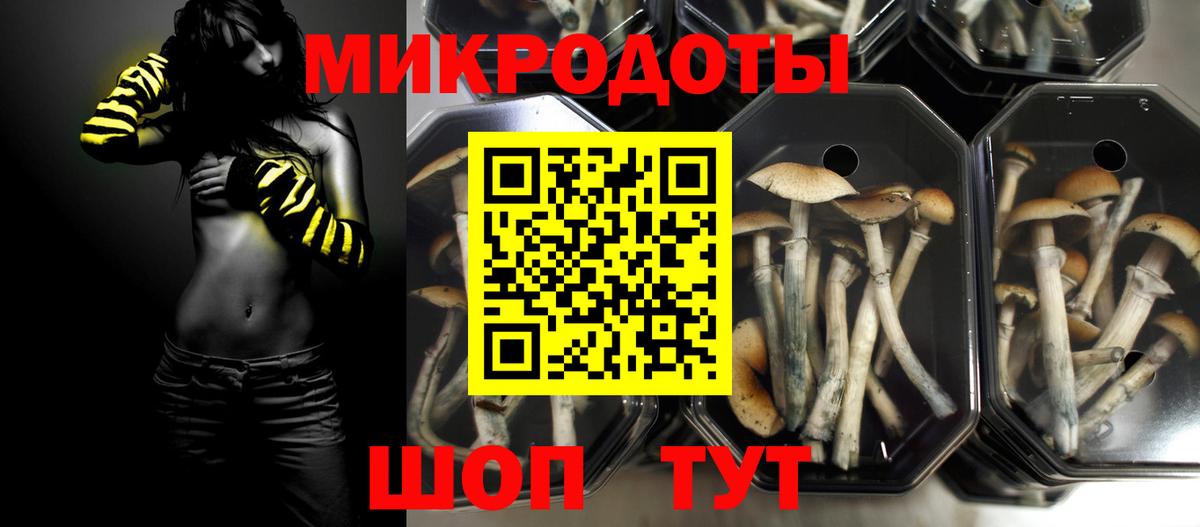 Кунгур  Галлюциногенные грибы прущие грибы  Галлюциногенные грибы MAGIC MUSHROOMS  дарнет шоп  Вход с VPN 