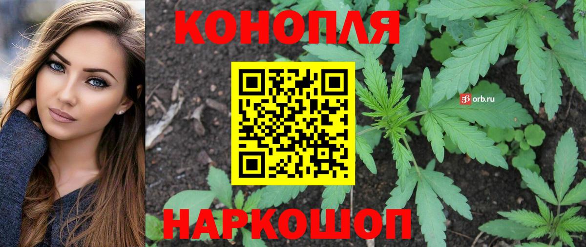 Каннабис семена Кунгур